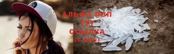 индика Новокубанск