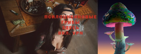 шишки Балабаново