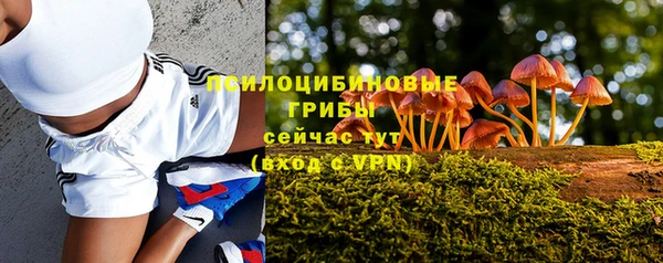 крисы Балахна